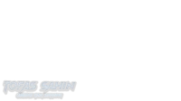 Tofas Sahin Online Car Driving logo