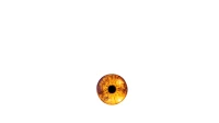 Among the Trolls logo