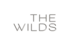 The WILDS logo