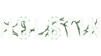 Holstin logo