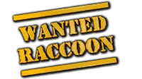 Wanted Raccoon logo