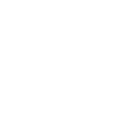 DarkSwitch logo
