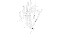 Unholy logo