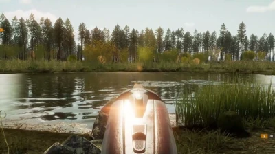 ducks