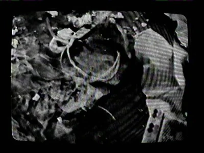 Dead Format VHS Video