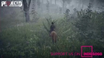 PROJECT D - Horses and some of the biomes in our world