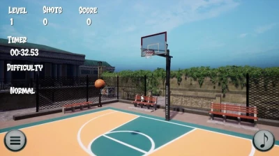 Big Flip Basketball