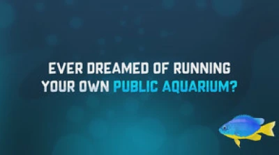 Pre-release Trailer