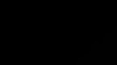 Opening_draft