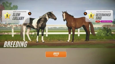 English Display Trailer 2025