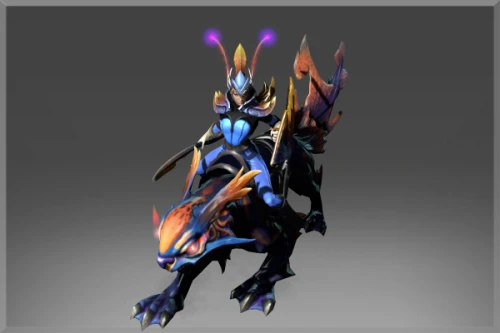 Reef Kyte Rider