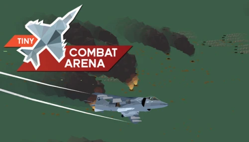 خرید بازی Tiny Combat Arena کامپیوتر