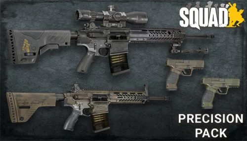 خرید بازی Squad Weapon Skins Precision Strike Pack