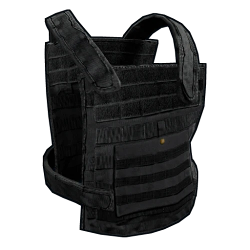 خرید بازی Plate Carrier Black