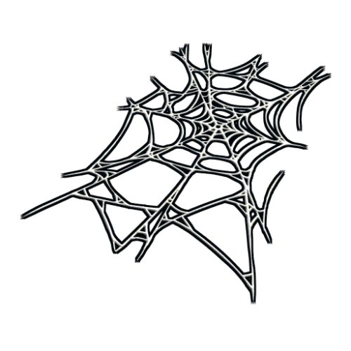خرید Spider Web Rug
