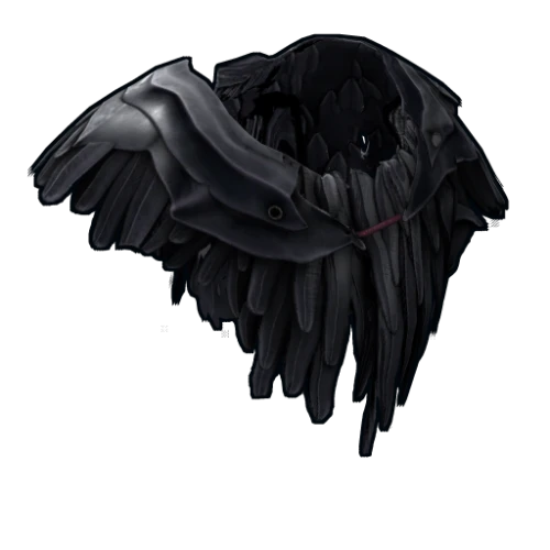 خرید Raven Poncho