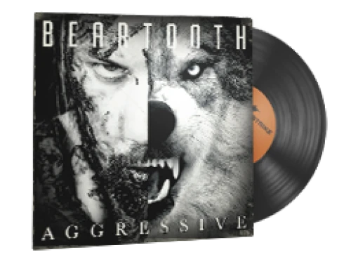 خرید بازی StatTrak Music Kit Beartooth Aggressive