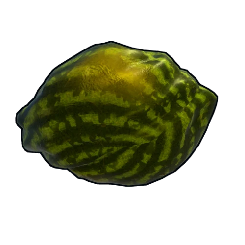 خرید Ripe Watermelon