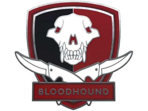 خرید بازی Bloodhound Pin