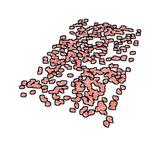 خرید Rose Pedals Rug