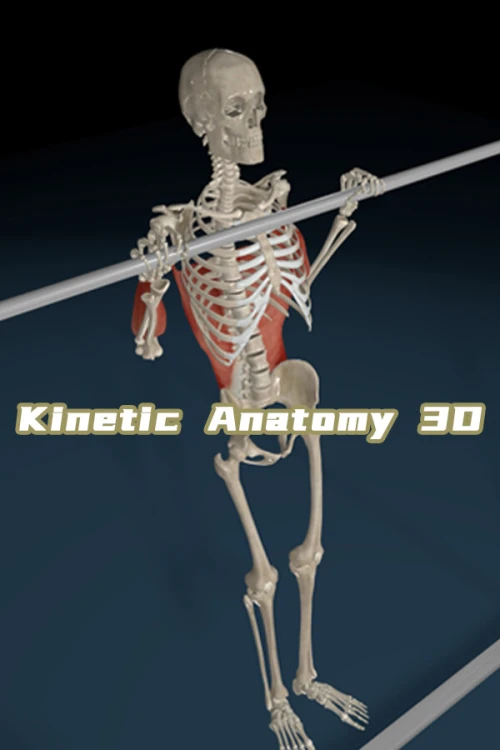 Kinetic Anatomy 3D