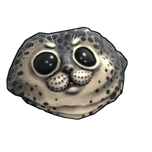 خرید Harbor Seal Rock