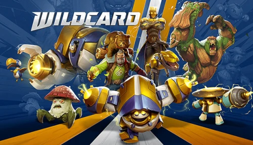 بازی Wildcard کامپیوتر