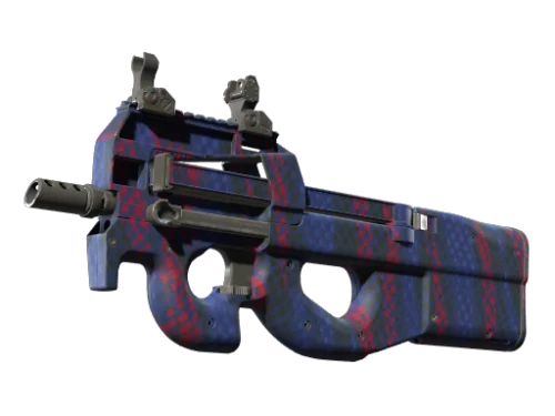 P90 Teardown Minimal Wear