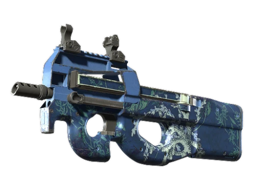 P90 Reef Grief Well Worn