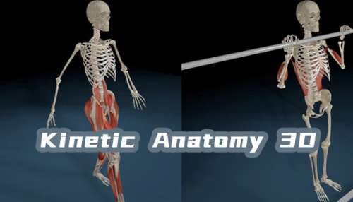 خرید بازی Kinetic Anatomy 3D کامپیوتر