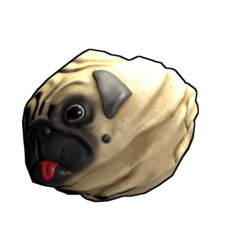 خرید Pug Rock