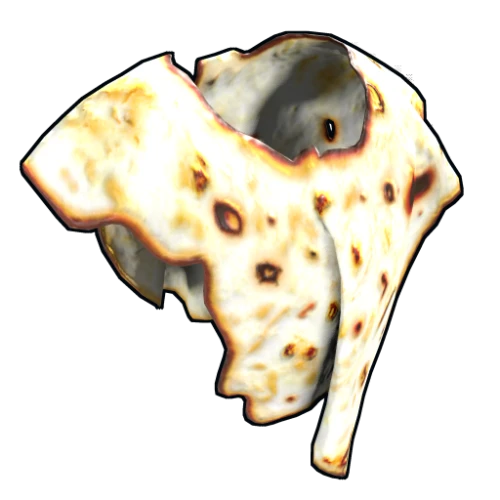 خرید Pita Poncho