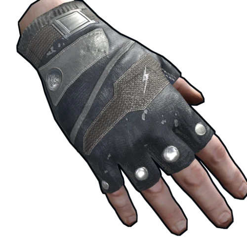 خرید Arctic Wolf Gloves