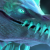 Winter Wyvern