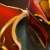 Dragon Knight